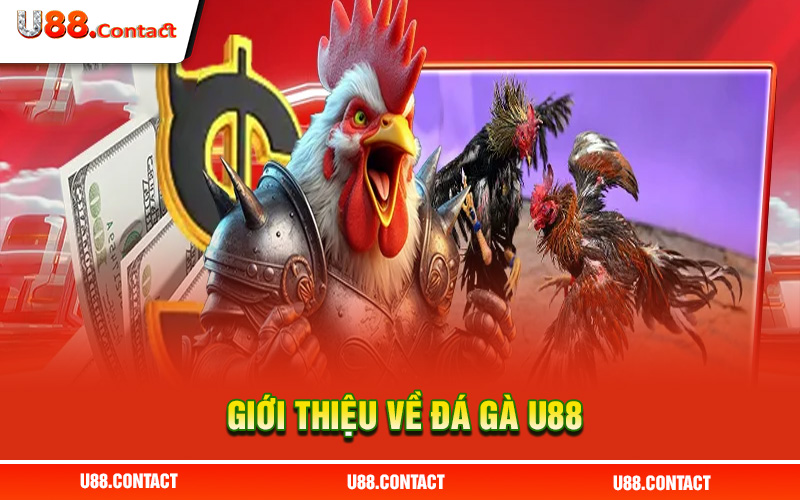 Giới thiệu về đá gà U88