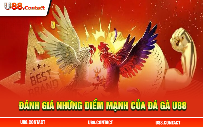 Đánh giá những điểm mạnh tuyệt vời của đá gà U88