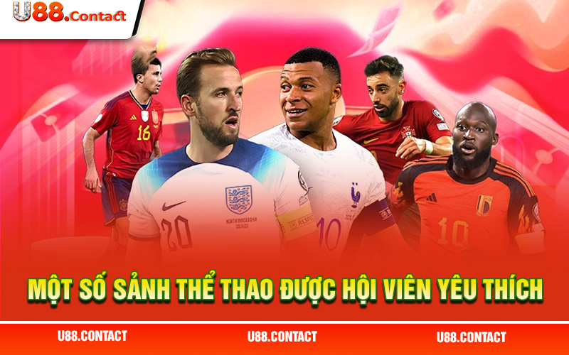Một số sảnh thể thao được hội viên yêu thích nhất tại U88